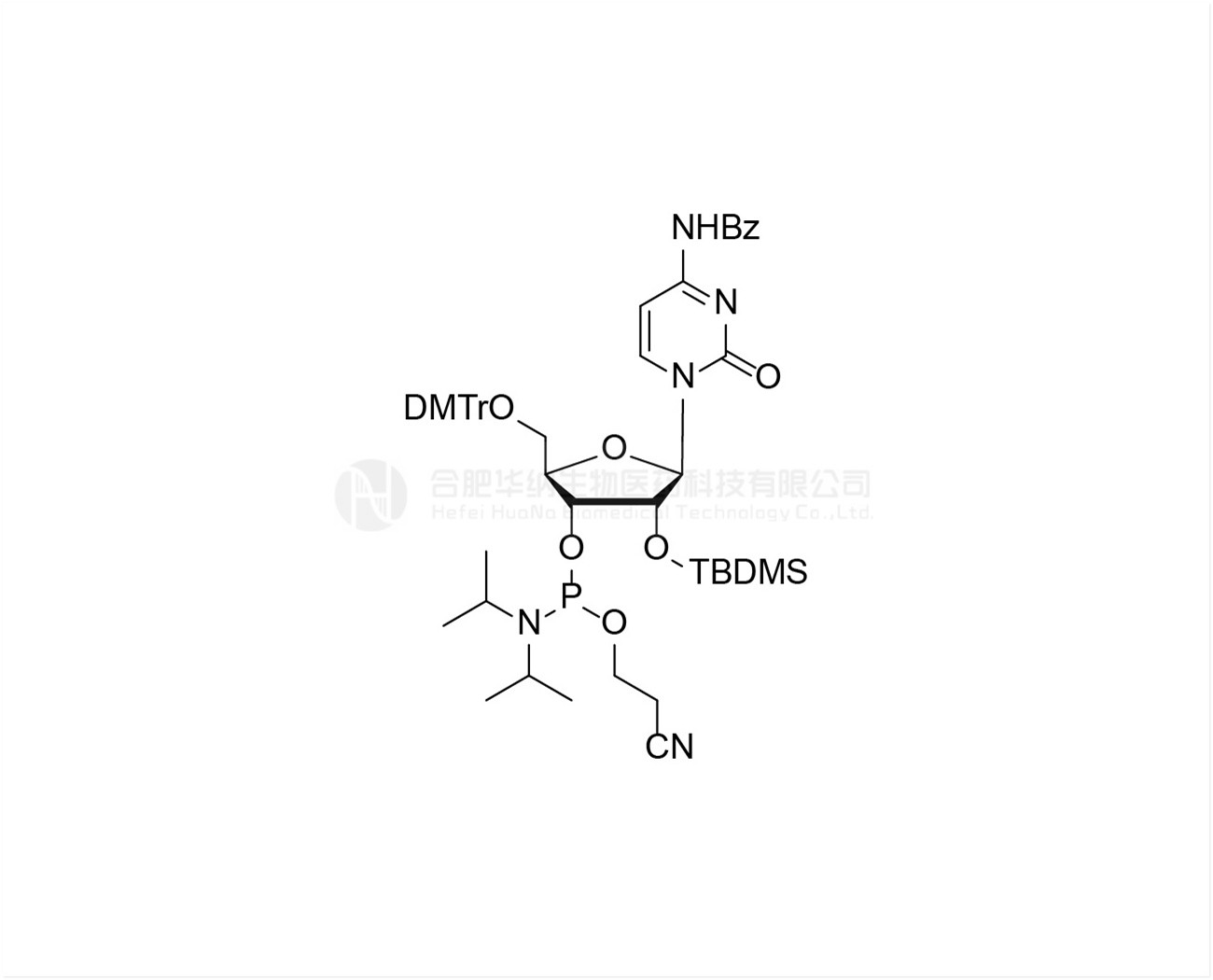 DMTr-2'-O-TBDMS-rC(Bz)-3'-CE -Phosphoramidite