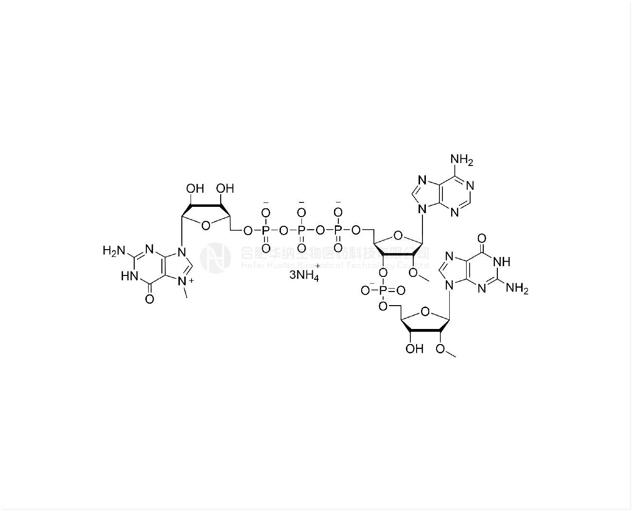 CAP m7G(5')ppp(5')(2'-OMeA)p(2'-OMeG) 100mM Ammonium Solution