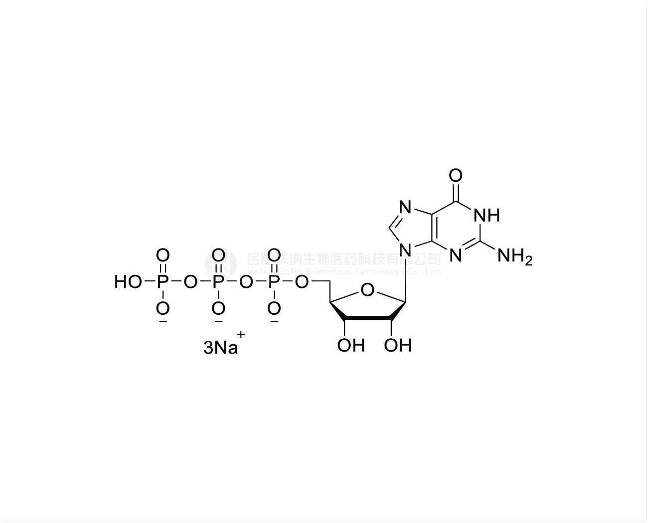 GTP 10mM Sodium Solution