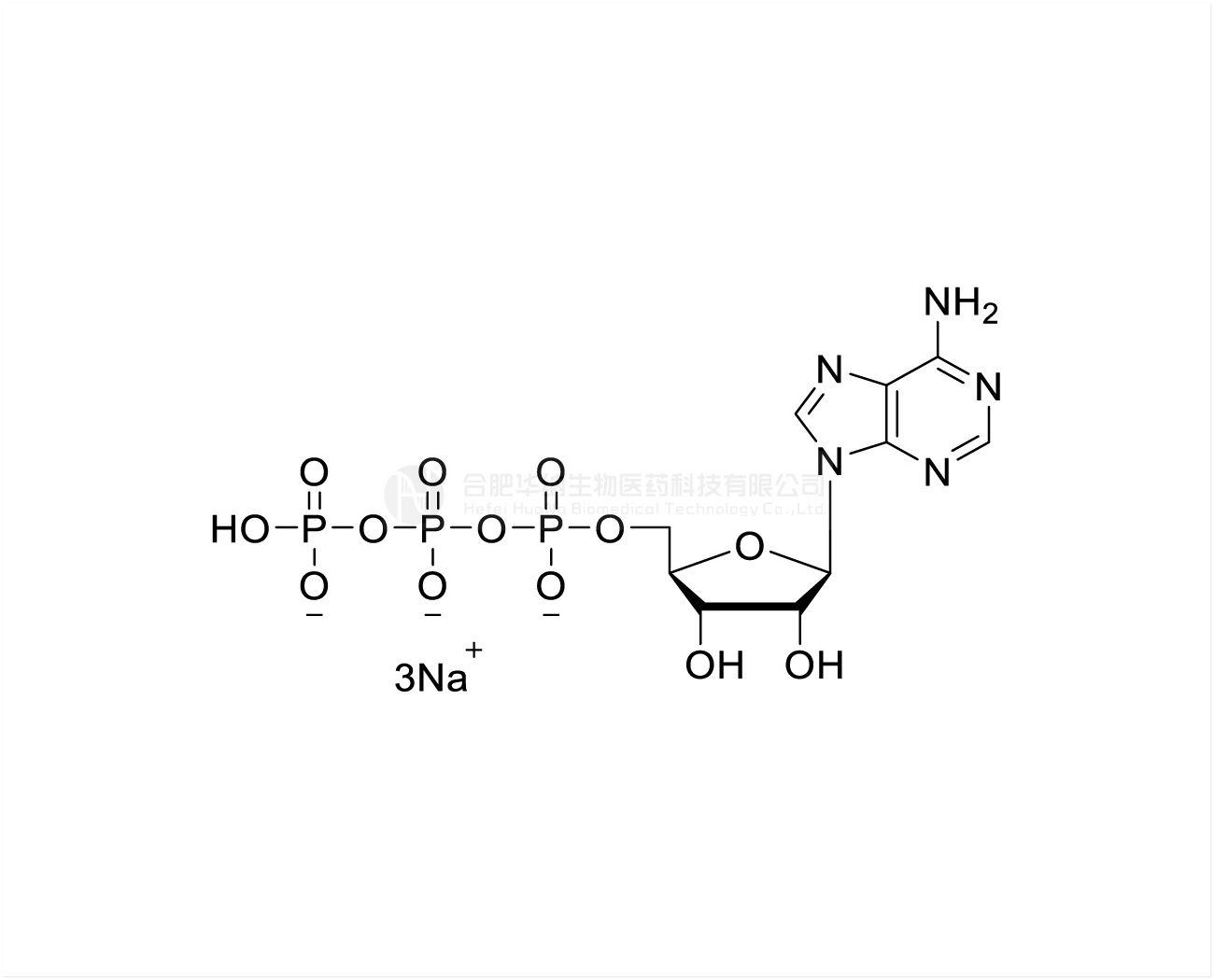 ATP Sodium Salt