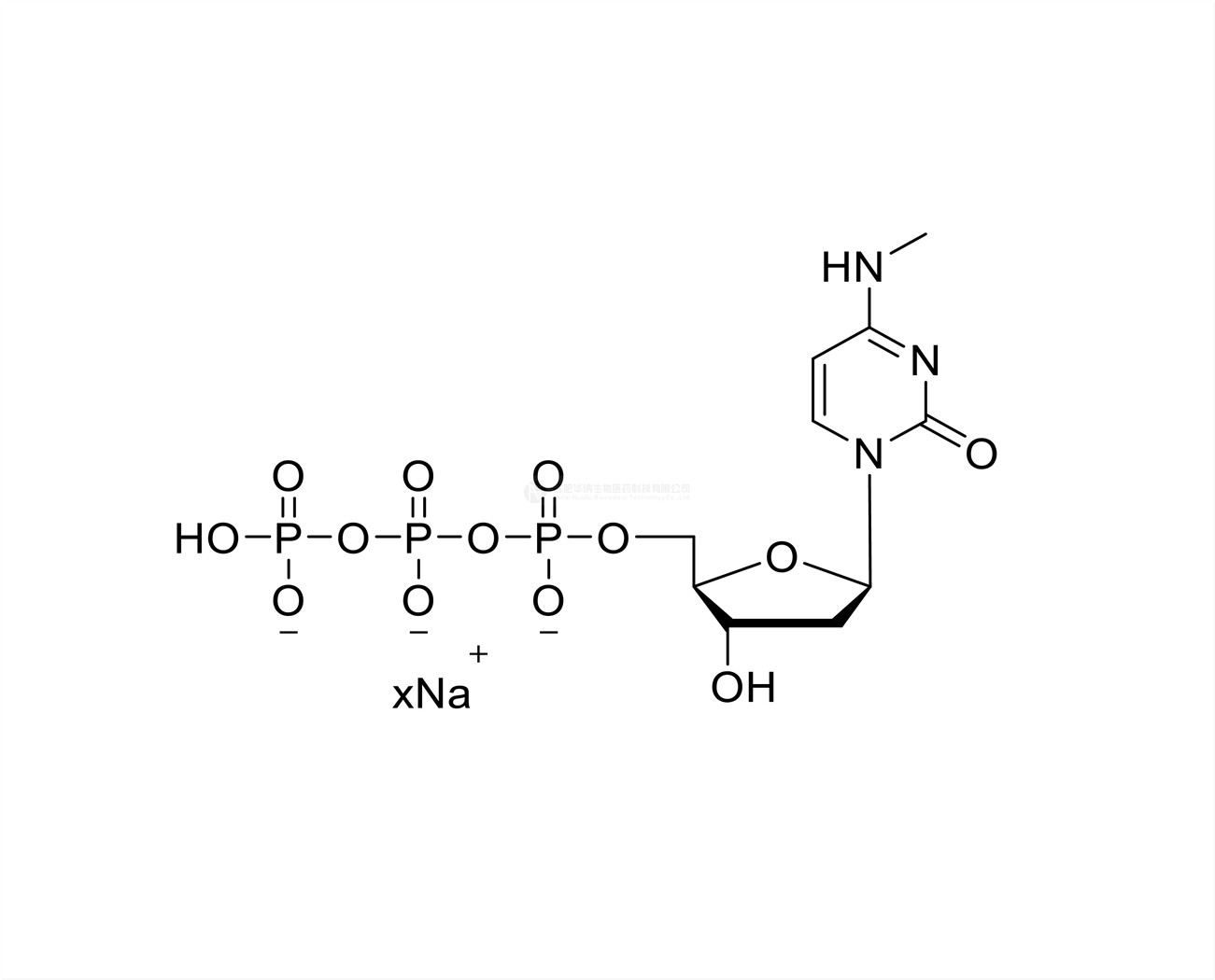 N4-Me-dCTP 100mM Sodium Solution